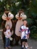 AK Chip and Dale