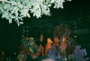 King Triton Float