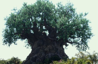 AKTree of Life 2